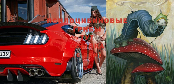 метадон Пересвет
