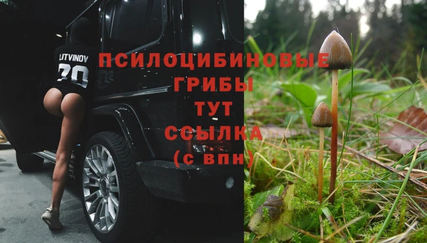 меф Осинники